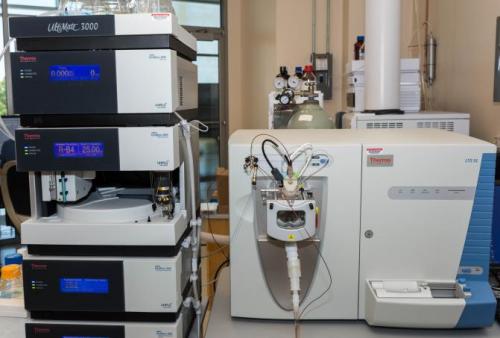 Thermo LTQ XL Mass Spectrometer w/Thermo UHPLC (Fluorescence and UV detection)